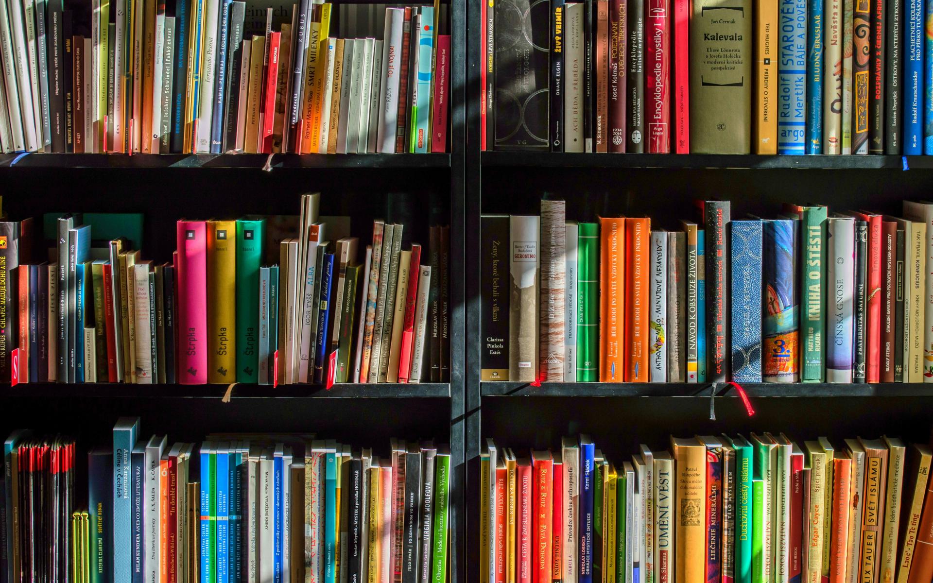 Bücher 6