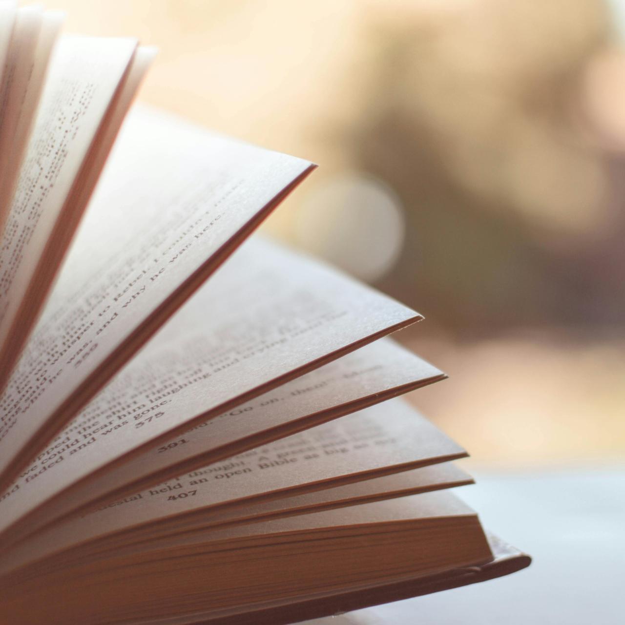 Bücher 7