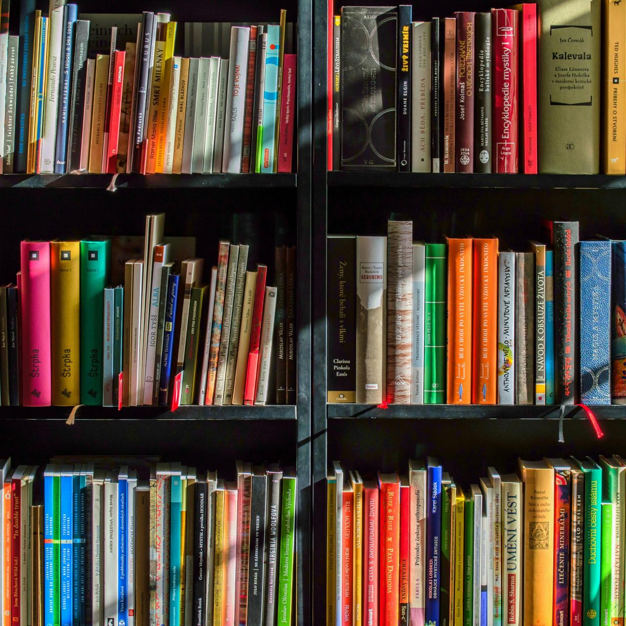 Bücher 6